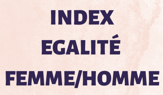 Index de l’égalité professionnelle